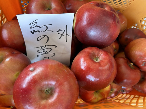 まるせい果樹園の紅の夢　訳あり　加工用　自家用　家庭用　　3kg　(6～15玉入り)　玉数指定不可　ｒｙ1