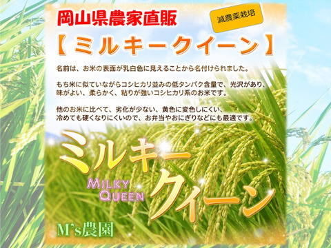 4種食べ比べセット！キヌムスメ・にこまる・ミルキークイーン・にじのきらめき 2026年産「岡山県産お米」２kg×４個セット