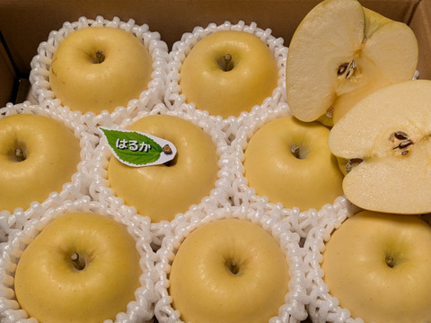 肥料・堆肥なし栽培りんご「はるか」　
ご自宅向け　約2.5kg(8〜10個)