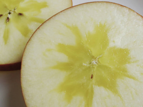 『冬ギフト』※限定商品※豪華りんご４種食べ比べセット