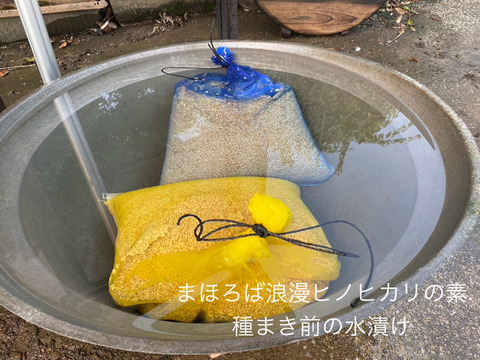 まほろば浪漫🌾ヒノヒカリ (精米5㎏)令和6年
