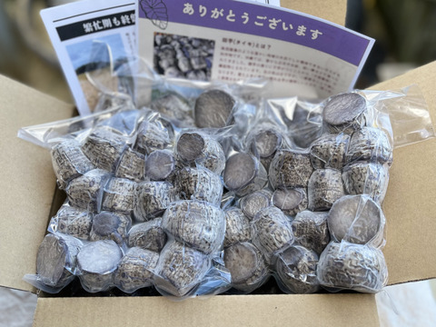 沖縄伝統野菜『田芋』冷凍小芋（450g×10)