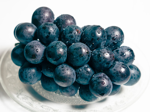 今年度最終出荷❗山梨県 巨峰の町 牧丘町【クール便指定】【最高峰牧丘の巨峰】【2024年10月1日～発送】