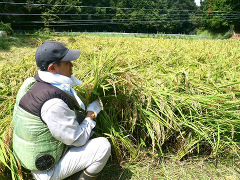 新米！2025年奈良県山添村の『あきたこまち』（白米）10 ㎏