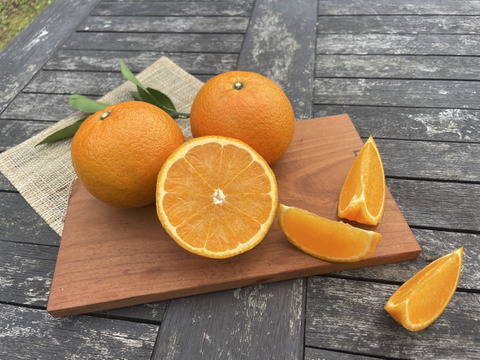 果汁たっぷり奄美産タンカン（ご家庭用・5kg）