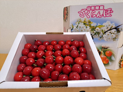 初夏の便り 爽やかさくらんぼ『紅さやか』500g(M･L混合)