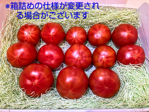 予約★平均糖度10度！★完熟★名水育ち★究極のフルーツトマト「海部川のしずく」1kg(8〜25個)　品種は驚きの桃太郎！