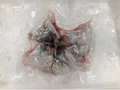 【リピーター続出】柚子香る鯛の柚子〆ロイン（１尾分原魚1.7kgサイズ）(骨無し)（カマ付き2pc）冷蔵   　 合計約630g
