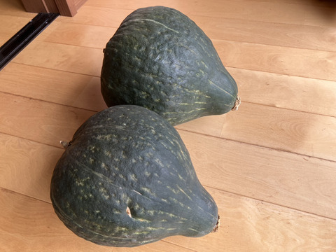 【冬ギフト】自然栽培で育てたかぼちゃ100％無添加かぼちゃペースト（5袋）