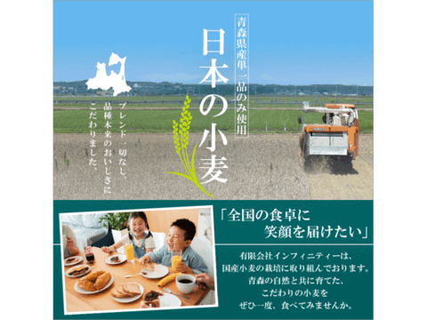 中力粉 400g 青森県産単一品「ネバリゴシ」100％使用 日本の小麦 メール便 国産小麦 国産小麦粉