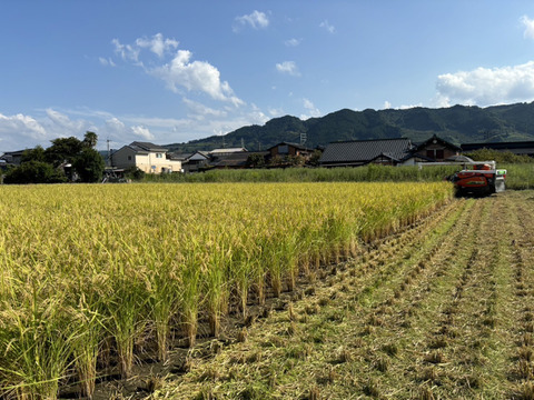 新米！福岡県産元気つくし農薬不使用真空パック１㎏×3