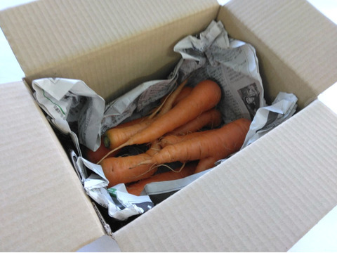 3kg🥕皮まで美味しいニンジン🥕今が旬！🥕《農薬・化学肥料不使用》