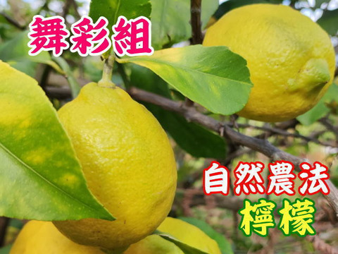 自然農法　体が喜ぶ“舞彩組”レモン（農薬・肥料不使用）　1ｋｇ