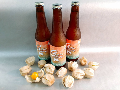 『芳醇でトロピカルな香りと旨味』ゴールデンベリーペールエール（クラフトビール）330ml×3本入り