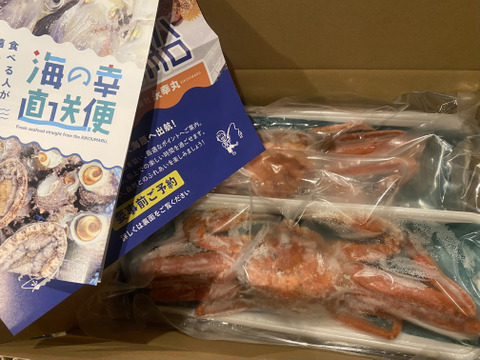 【限定1セット！早いもの勝ち！】松葉ガニ300g〜550gまで　4杯入