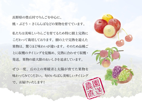 【2026年予約早割】さくらんぼ食べ比べ🍒7品種から旬の2品種をお届け！佐藤錦や紅秀峰など品種はおまかせ🍒