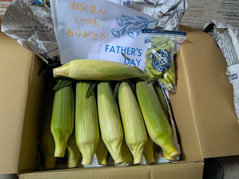 とうもろこし　朝採り 産地直送 今だけ+1本!計7本🌽朝採り直送！ピッチピチでぷっちぷち！甘ーい