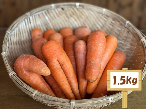 平均糖度9度完熟訳ありにんじん 1 5kg 見た目はごめんね 完熟掘り 皮ごと食べられる甘くて美味しい個性派にんじん 栃木県産 食べチョク 農家 漁師の産直ネット通販 旬の食材を生産者直送 平均糖度9度完熟訳ありにんじん 1 5kg 見た目はごめんね 完熟掘り 皮ごと食べられる甘くて美味しい個性派にんじん 栃木県産 食べチョク 農家 漁師の産直ネット通販 旬の食材を生産者直送