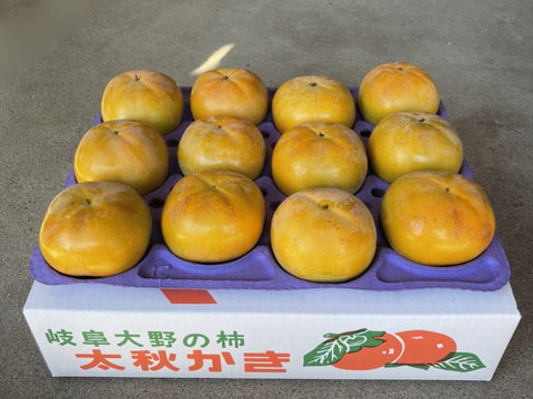 シャキッと甘い！【10月限定】太秋柿（9～12個入）約3.3㎏