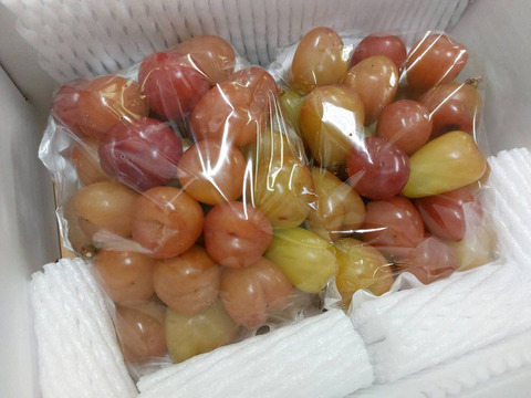 【粒切り】シャインマスカットの娘　マイハート1kg箱