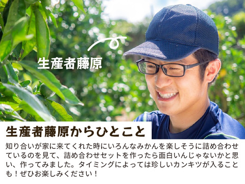 【食べ比べ】みかん・カンキツ詰め合わせセット5kg｜和歌山県海南市下津町から旬のみかん・かんきつ詰合わせセットを産地直送、農園直送でお届け。清見、セミノール、甘夏、八朔等、様々な柑橘が楽しめます