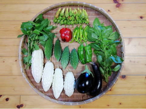 【農薬・化学肥料不使用】花オクラ入り野菜セット【６～８種類の野菜】【食べ方説明書付き】【金曜日クール便で発送】【あわせ買い可】【熨斗(のし)対応可】【８０サイズ箱】