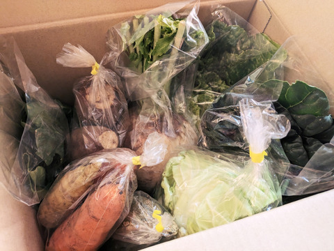 旬野菜Ｓサイズ【7～9品目少量多品目】生命力溢れる野菜詰め合わせ＊農薬·化学肥料·除草剤不使用