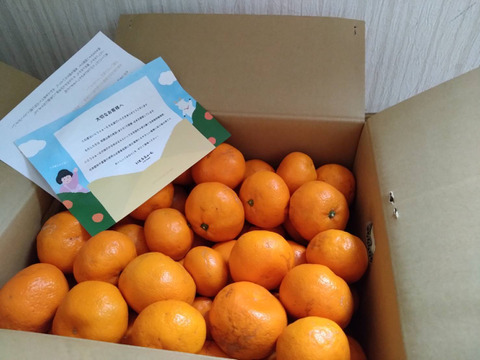 【訳あり】濃厚なコクと酸味がおいしい！有田みかん★早生★自家製堆肥栽培★大満足10kg★和歌山