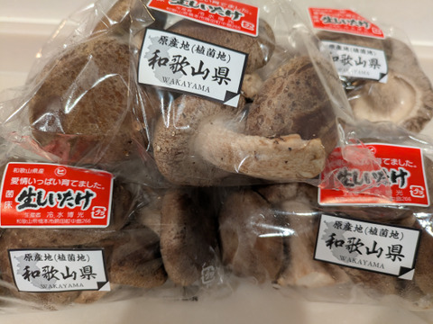 菌床生しいたけ！小さくても美味しい１㎏