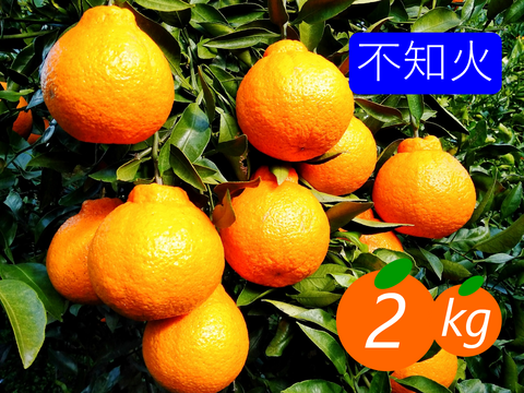 【食べ比べ】《家庭用》甘平×不知火 2kg(箱込み)×2箱 2月の柑橘セット①
