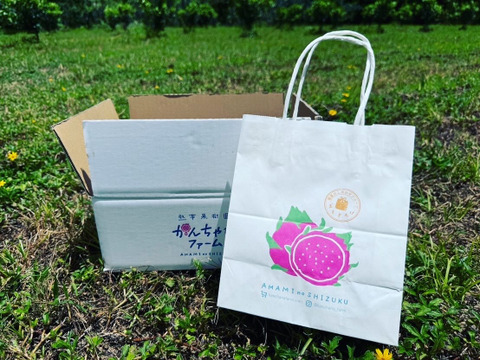 『2〜3玉 1kg』ご家庭用 "奄美のしずく 赤蜜ドラゴン"
