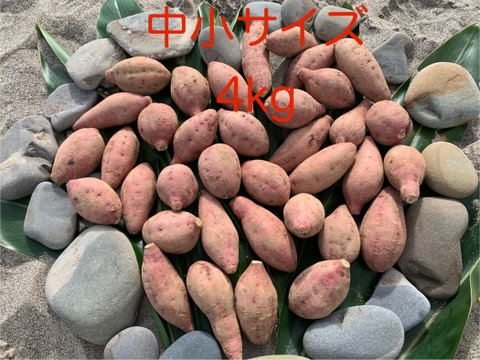 甘味あふれるオーガニック安納芋・中小サイズ(火が通りやすい)4kg・種子島産