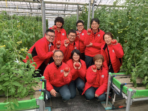 ずっしり❗️朝採り完熟トマト(規格外)