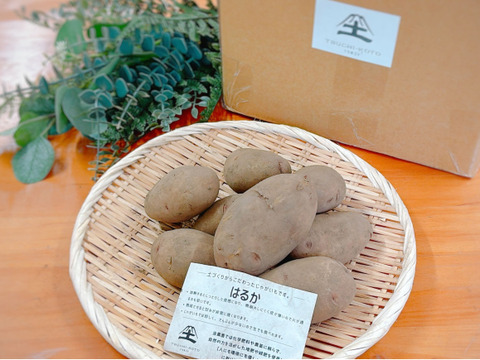 北軽井沢産】じゃがいも3種類・新種さつまいも「あまはづき」×1㎏づつ