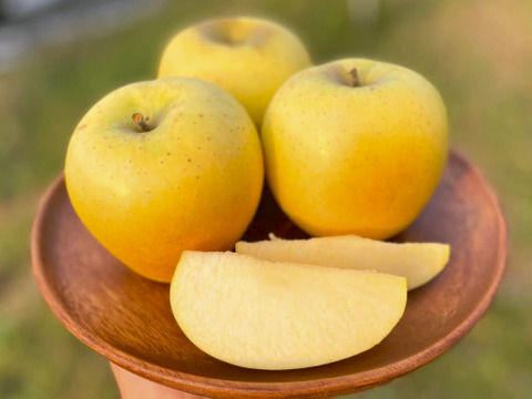 【2026年予約】『シナノゴールド』 家庭用　食感パリッとジューシーなりんご！3kg