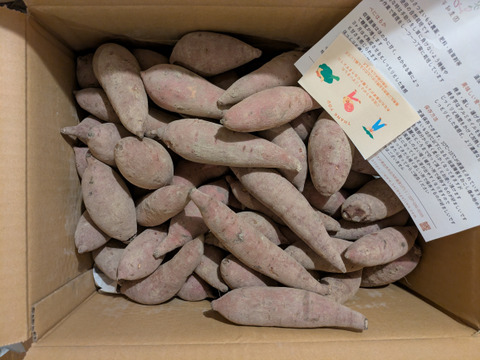自然栽培〈Sサイズ べにはるか〉大分県産さつまいも サイズ混合5kg