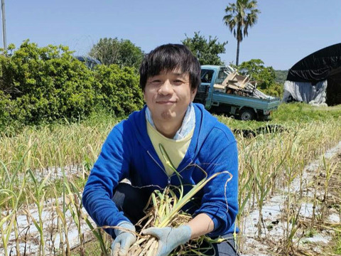 ☆訳あり 熊本産☆ おとめ黒にんにく700㌘ (農薬･化学肥料不使用) ◇生にんにくオマケ付き◇ 黒ニンニク ニンニク 黒にんにく にんにく