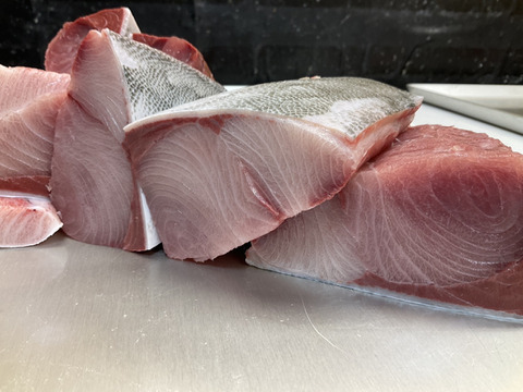 【冬の旨魚の代表格】天然ぶり/寒鰤/ブリ/10キロ台【脂肪率20％前後厳選】【1/2半身】