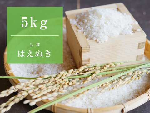 【はえぬき5kg/特別栽培米】心を込めて作りました♪山形県産はえぬき（精米5kg）