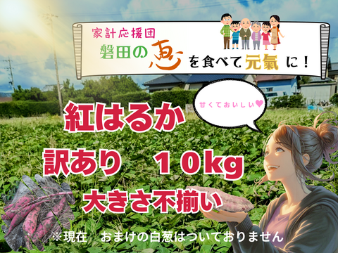 ネットリ甘ーい紅はるかを愛情価格でお届け！(10kg）