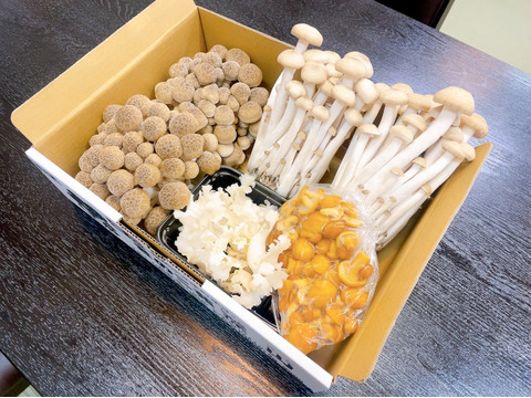 楽天市場】【国産】【天然きのこ】しもふりしめじ 150g（黒