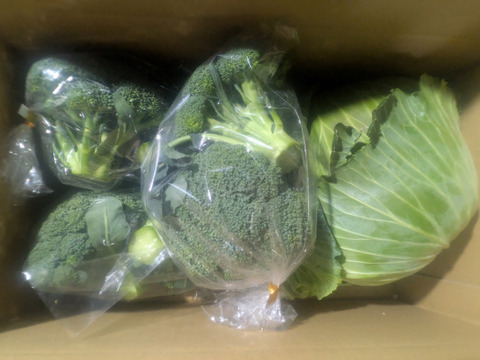 食べてみりん🥦🥬セット