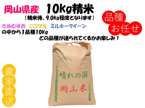 品種お任せ「ミルキークイーンorにこまるorきぬむすめ」岡山県産 精米 10kg（精米後9.0kg程度でのお届けとなります）