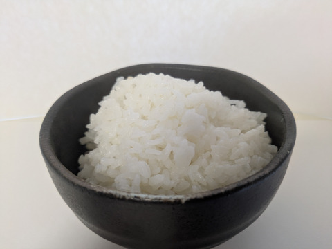 令和6年　鳥取県産　コシヒカリ　3kg