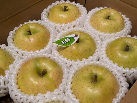 肥料・堆肥なし栽培りんご「王林」
ご自宅向け　約2.5kg(8〜10個)