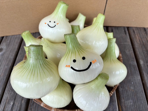 採れたて‼️淡路島産「新玉ねぎ🧅」約5kg