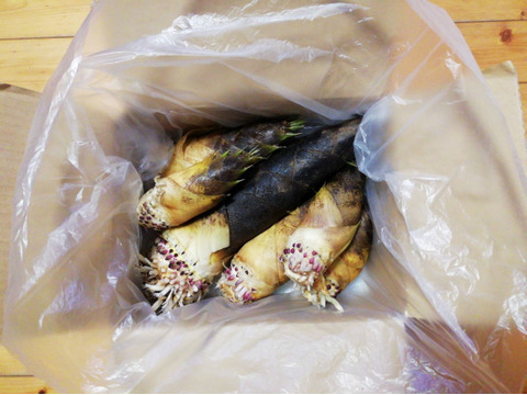 おうちで作れるタケノコの水煮体験セット(作り方説明書、タケノコ(３㎏以上)５～９本、あく抜き用米糠(こめぬか)・トウガラシも農薬・化学肥料不使用)【熨斗(のし)対応可】