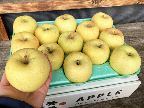 サクサク甘ーいりんご🍏はるか🍏3kg 低農薬で皮ごとﾊﾟﾘﾊﾟﾘ😆 訳ありご家庭用 特別栽培認証取得