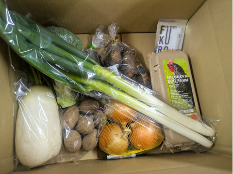 【素材を味わう】厳選蒸し野菜セット（お試し季節の塩付き）