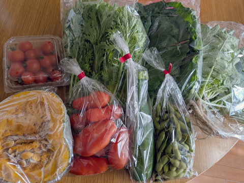 【自然栽培】高原の野菜セットS（7〜8品目）